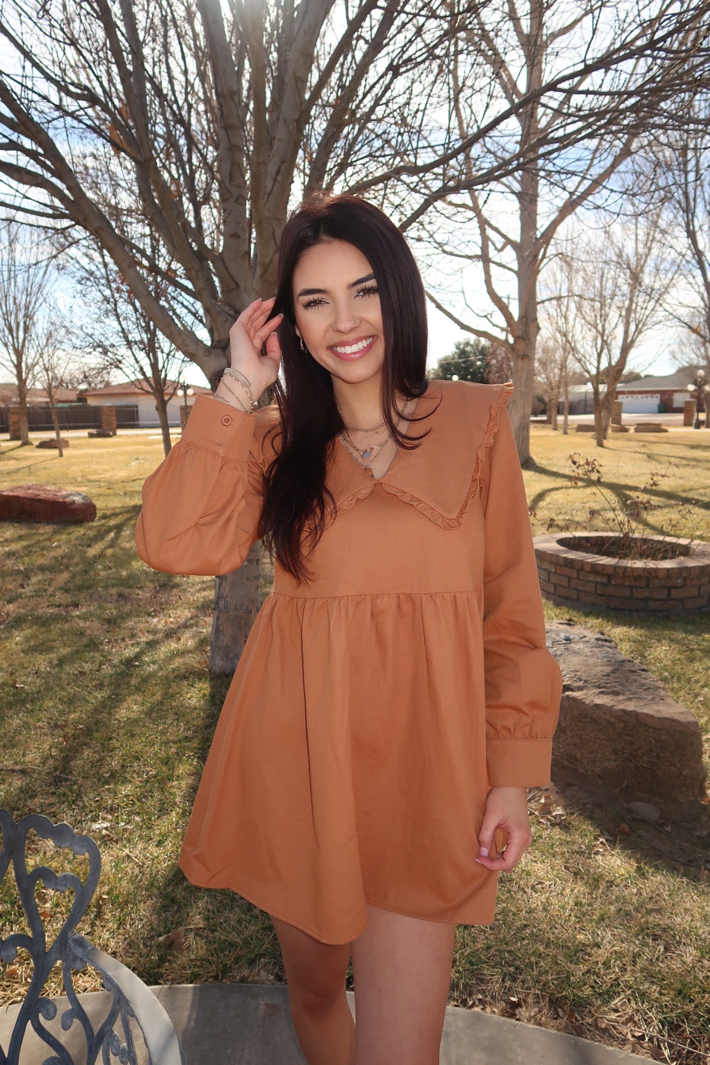 Rust Ruffle Collar Dress