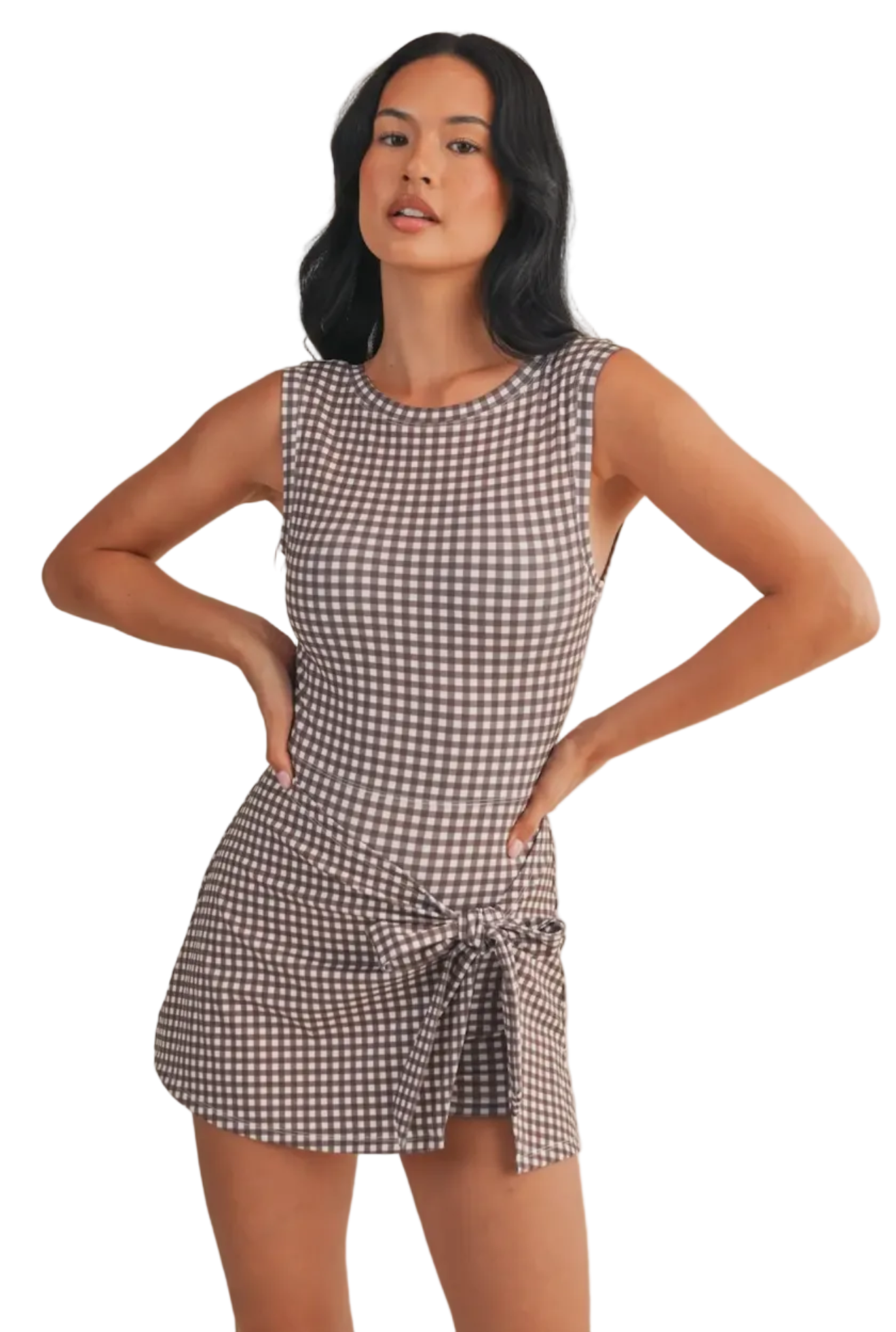 Brown Gingham Dress