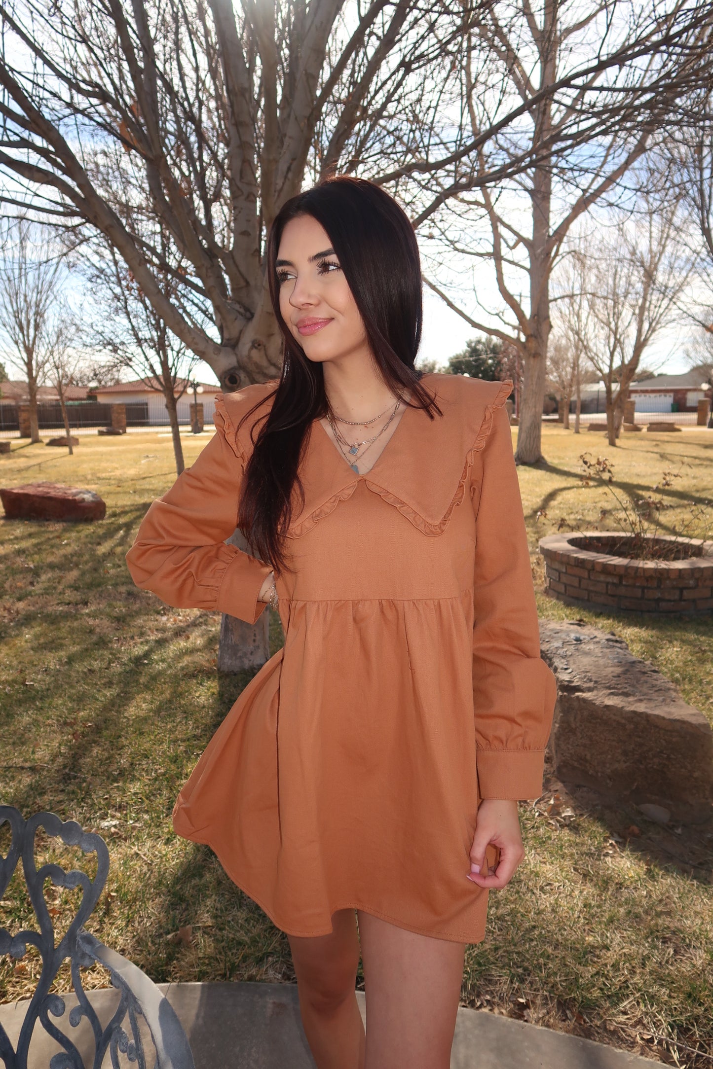 Rust Ruffle Collar Dress