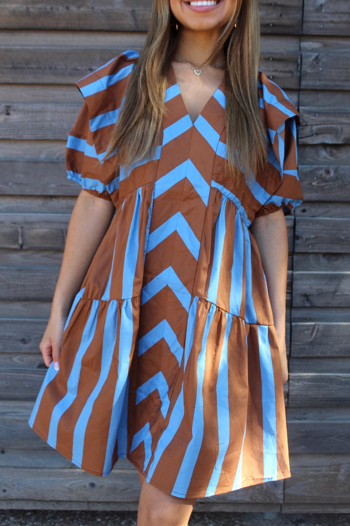 Brown/Blue Striped Dress