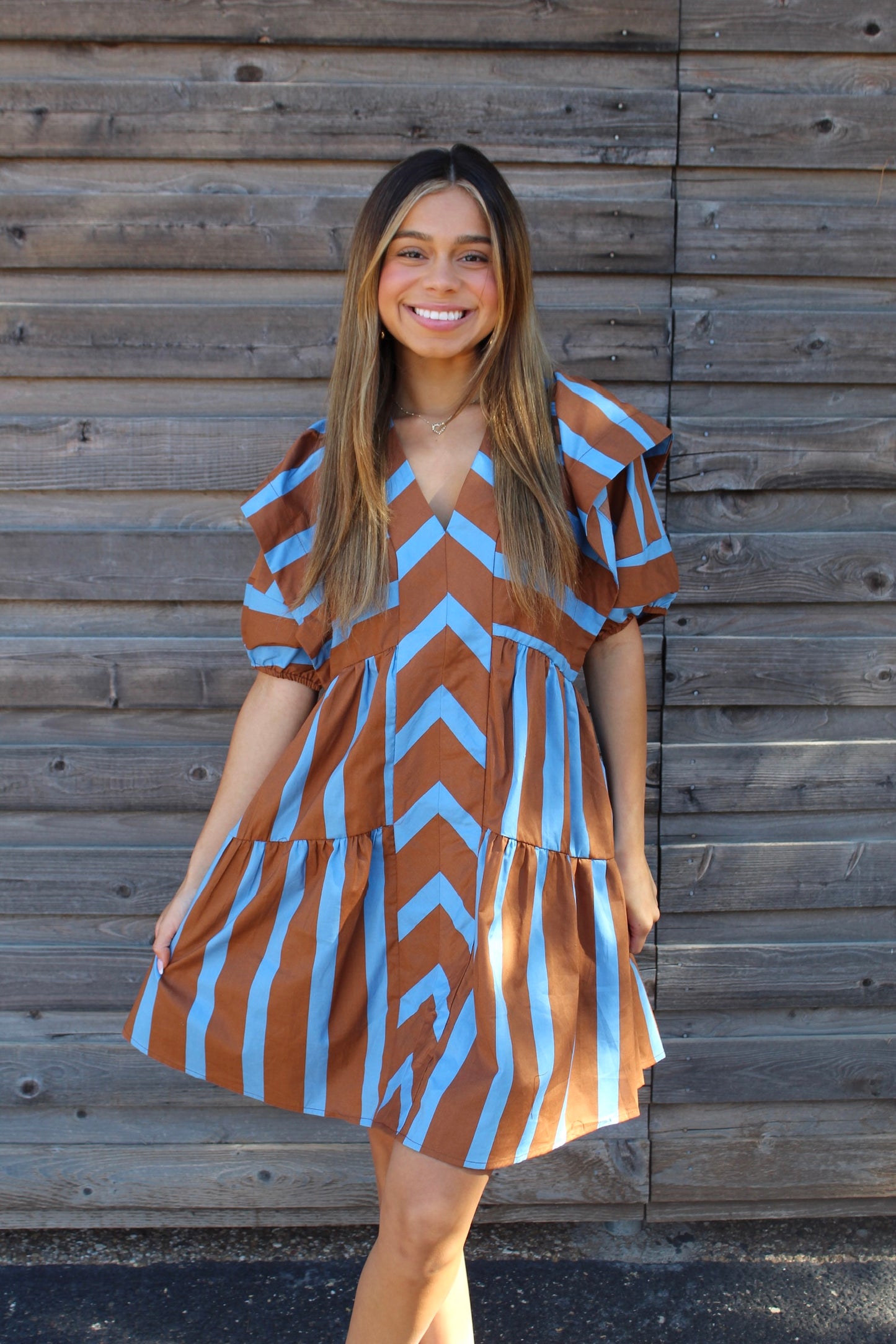 Brown/Blue Striped Dress